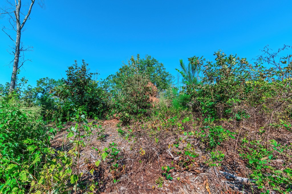 Lot 50 Jakes Landing Way Property Photo 15