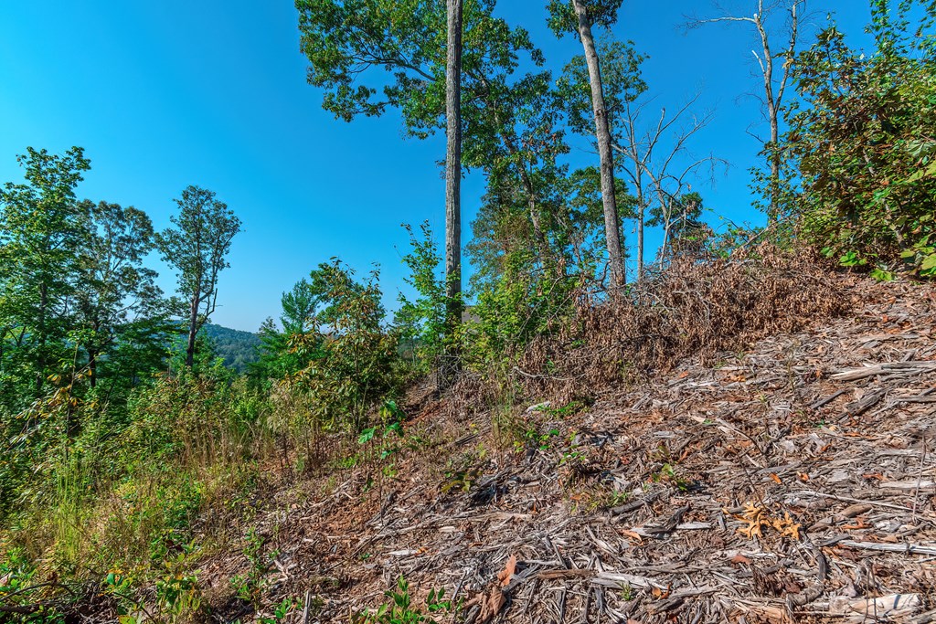 Lot 50 Jakes Landing Way Property Photo 16