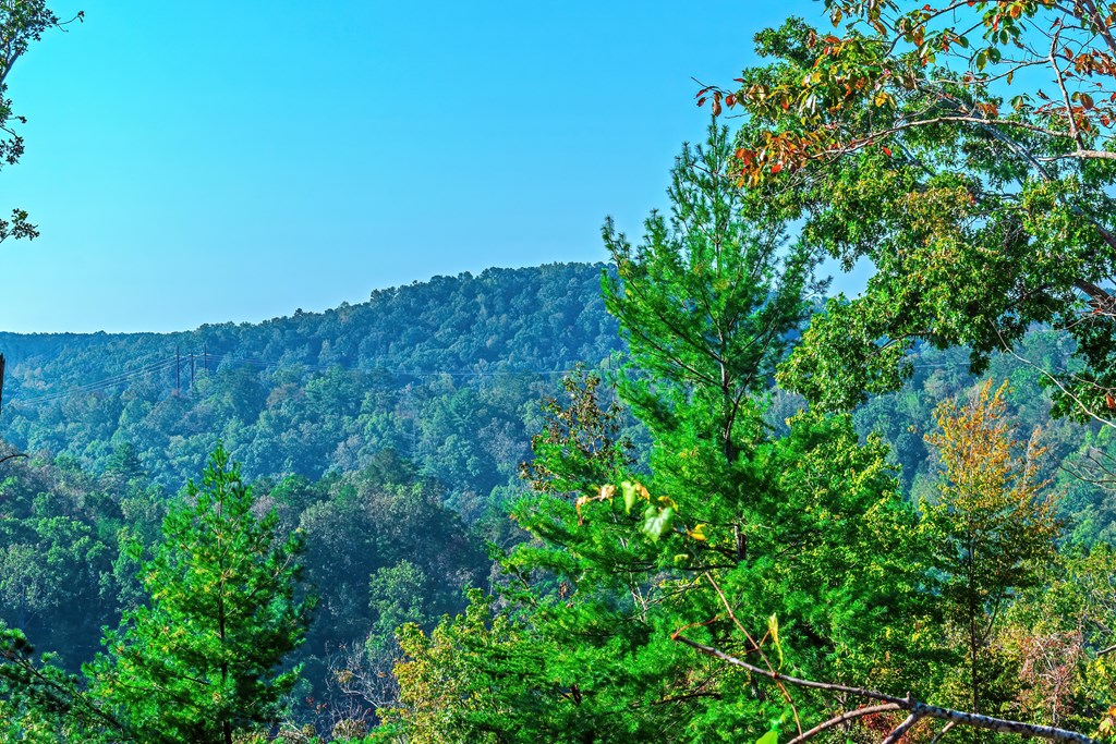 Lot 50 Jakes Landing Way Property Photo 17