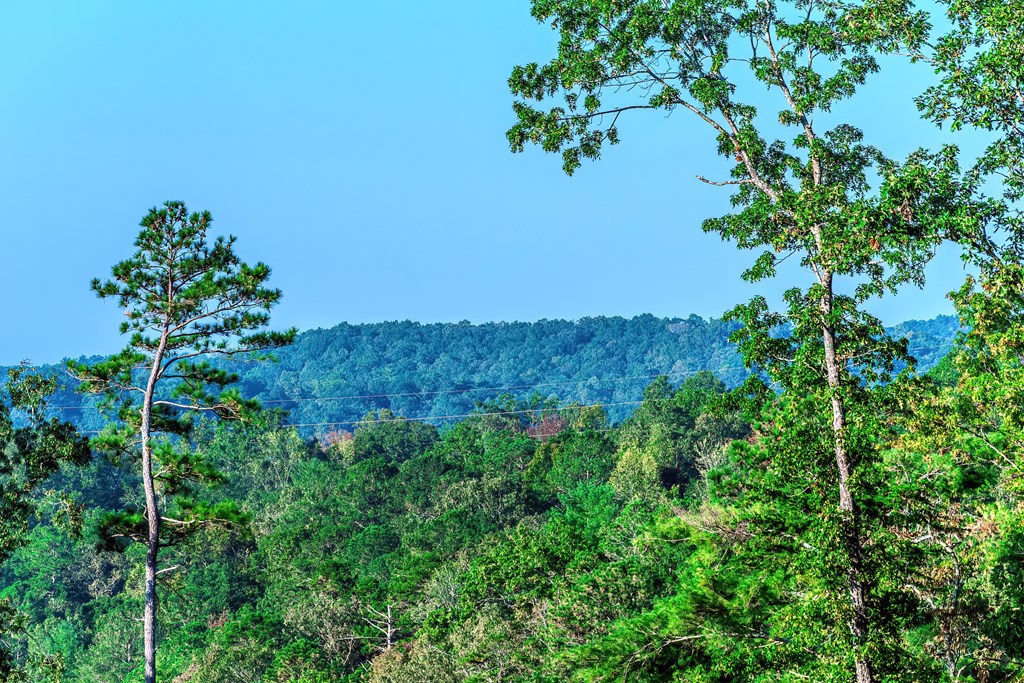 Lot 50 Jakes Landing Way Property Photo 18