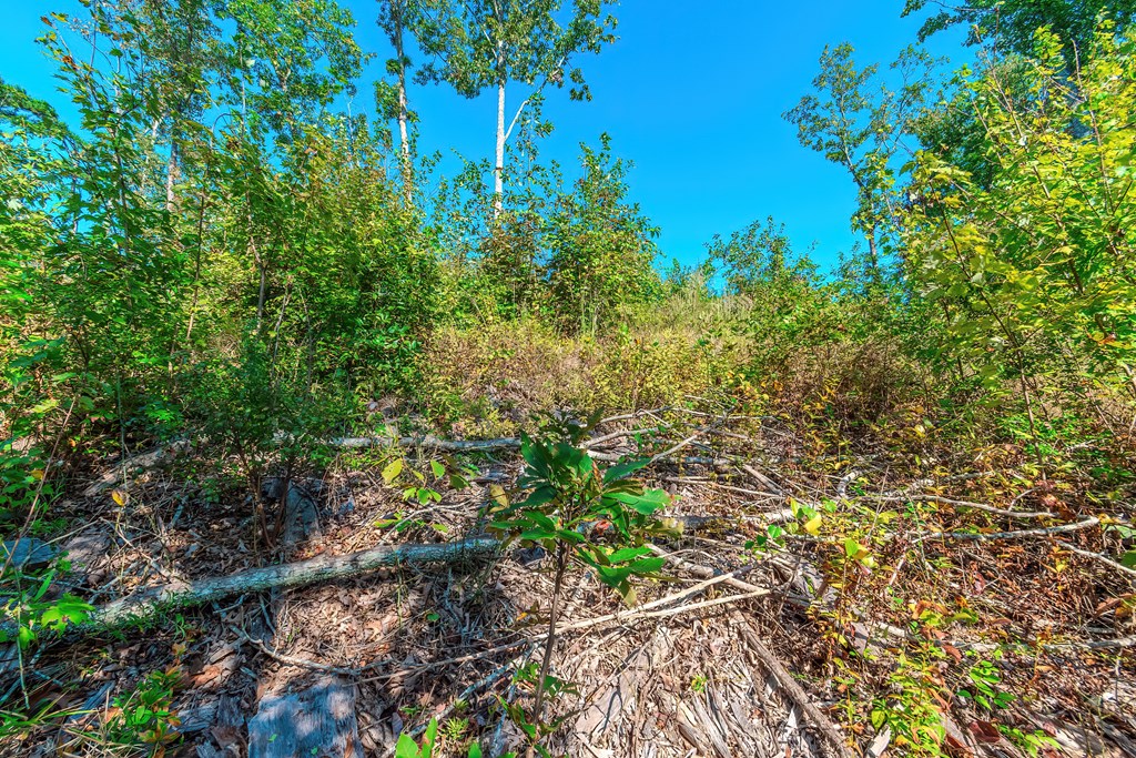 Lot 50 Jakes Landing Way Property Photo 19
