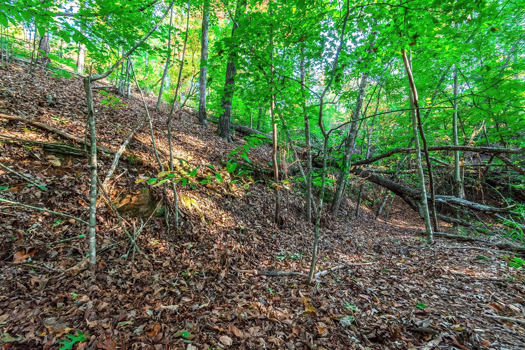 Lot 50 Jakes Landing Way Property Photo 20