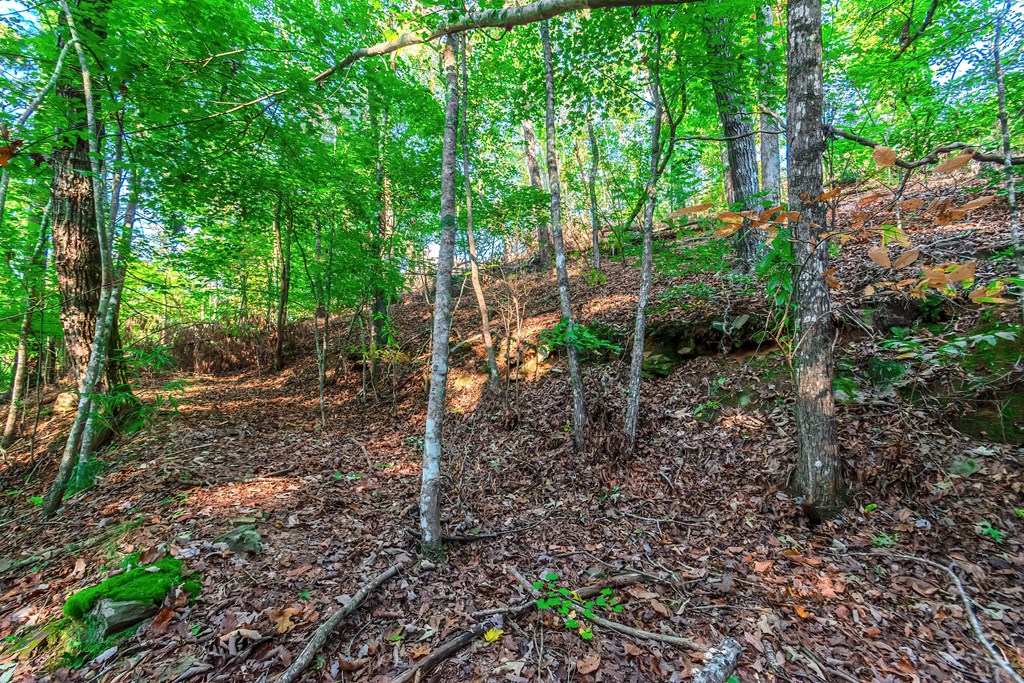 Lot 50 Jakes Landing Way Property Photo 21