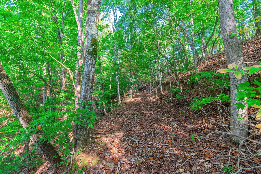 Lot 50 Jakes Landing Way Property Photo 22