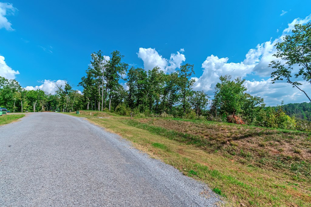 Lot 50 Jakes Landing Way Property Photo 23