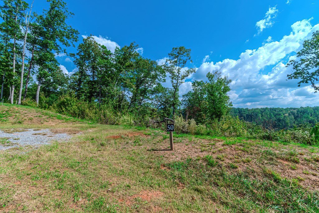 Lot 50 Jakes Landing Way Property Photo 24