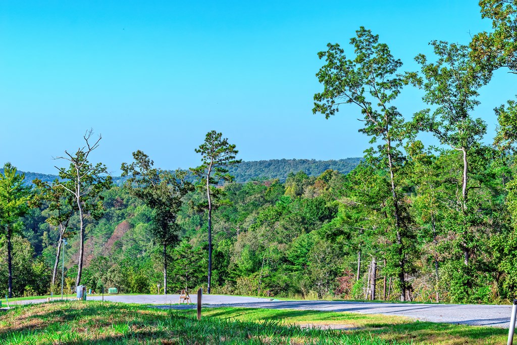 Lot 50 Jakes Landing Way Property Photo 25