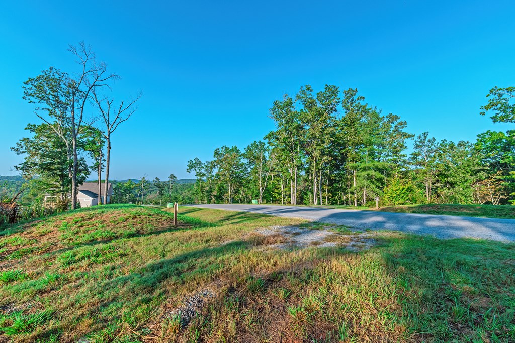 Lot 50 Jakes Landing Way Property Photo 26