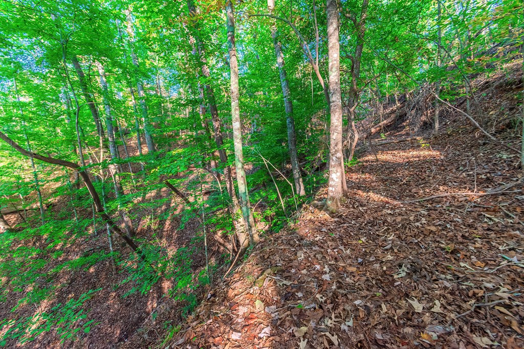 Lot 50 Jakes Landing Way Property Photo 27