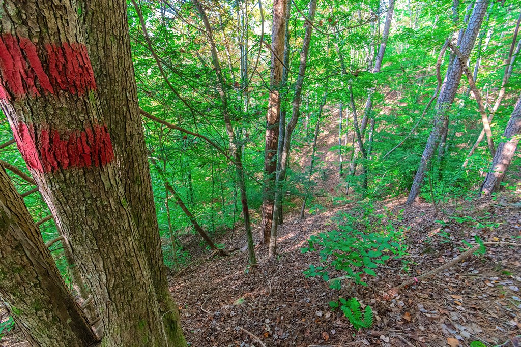 Lot 50 Jakes Landing Way Property Photo 28