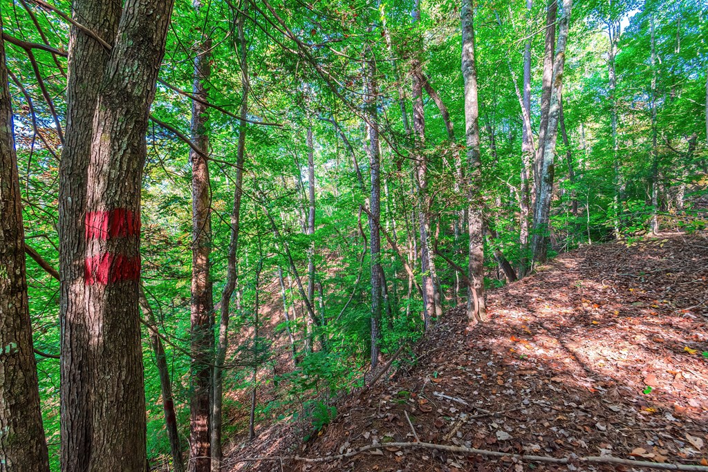 Lot 50 Jakes Landing Way Property Photo 29