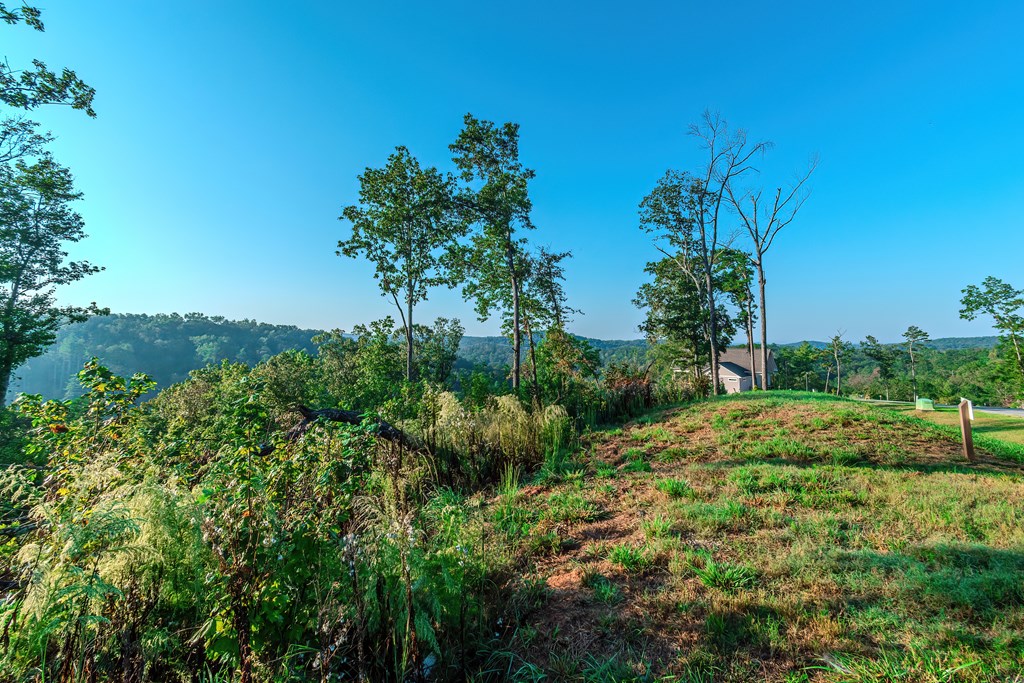 Lot 50 Jakes Landing Way Property Photo 30