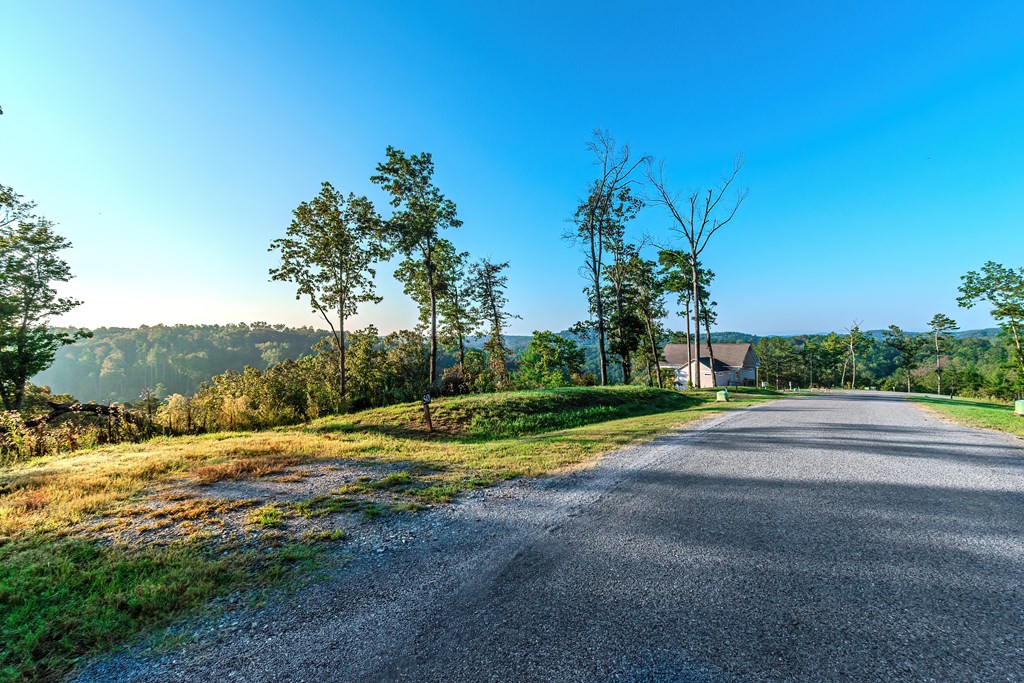 Lot 50 Jakes Landing Way Property Photo 31