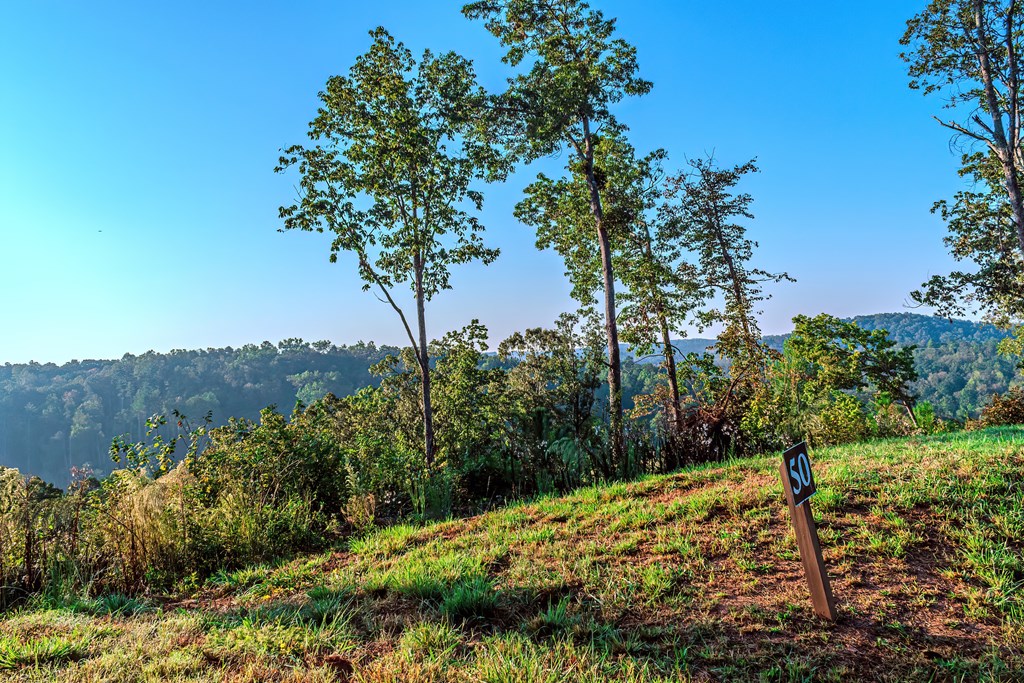 Lot 50 Jakes Landing Way Property Photo 32