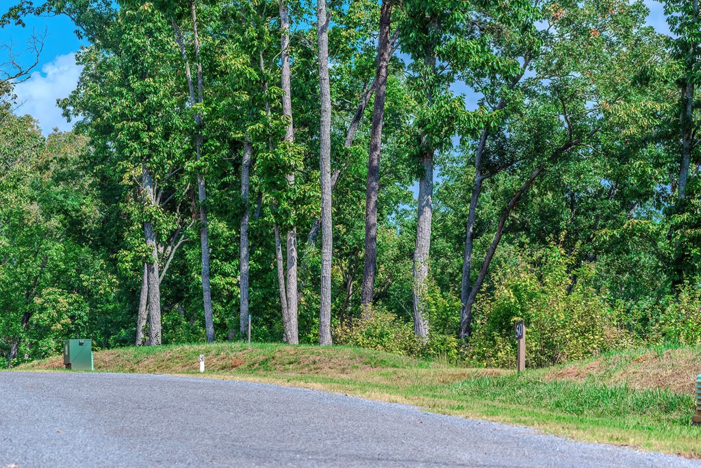Lot 50 Jakes Landing Way Property Photo 33