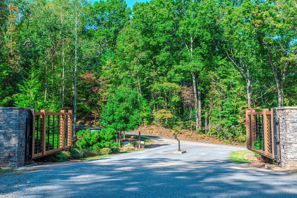 Lot 50 Jakes Landing Way Property Photo 35