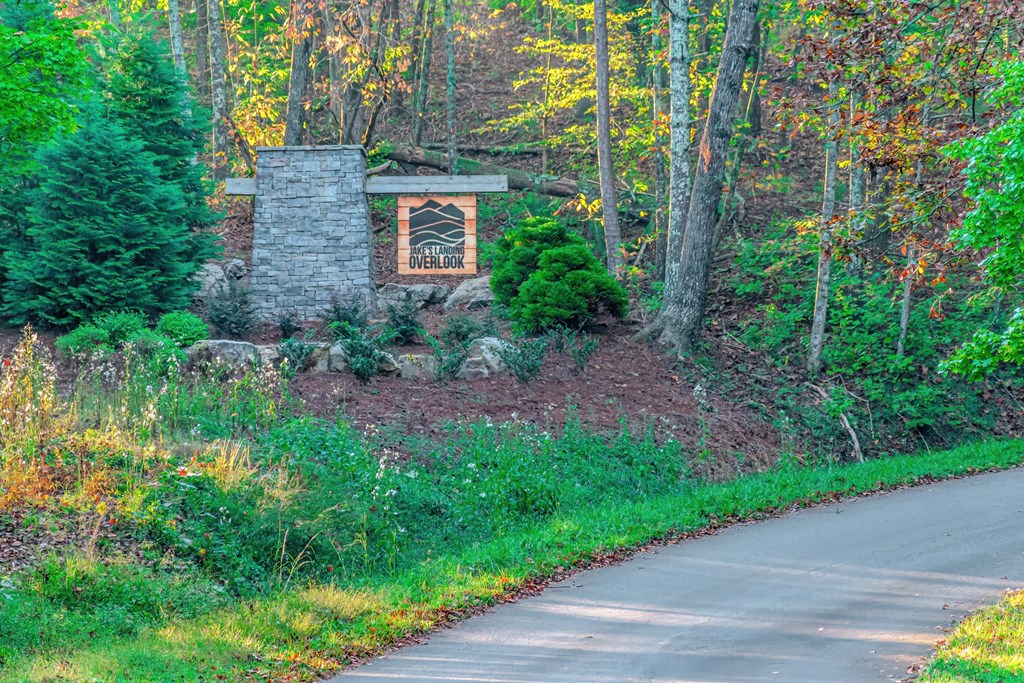 Lot 50 Jakes Landing Way Property Photo 37
