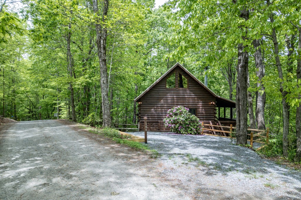 144 Little Bushy Head Road Property Photo 31