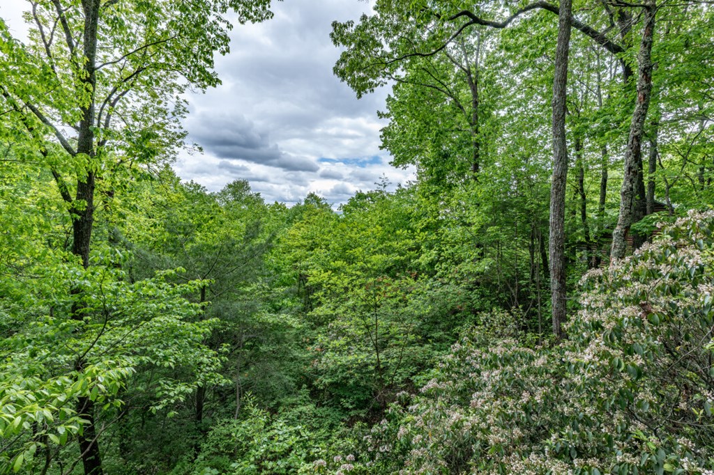 144 Little Bushy Head Road Property Photo 40