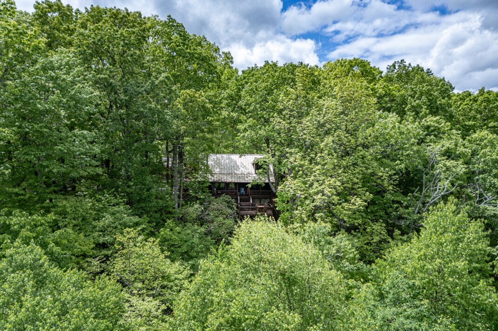 144 Little Bushy Head Road Property Photo 48