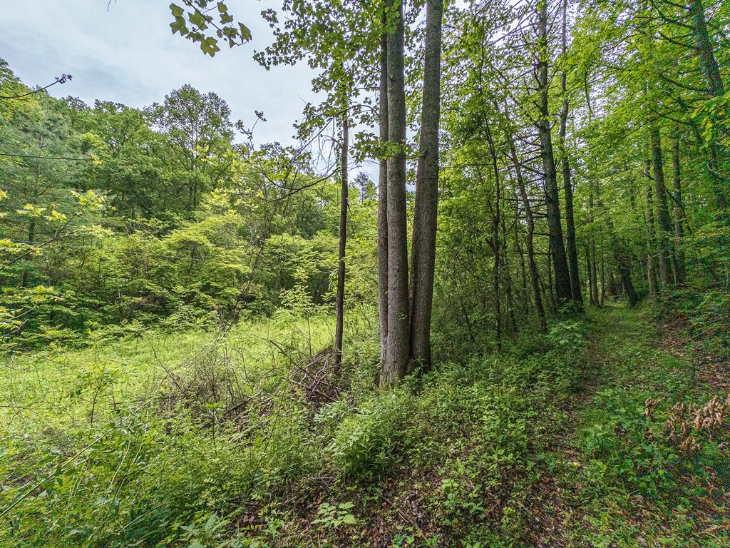 20561 Joe Brown Hwy Property Photo 8