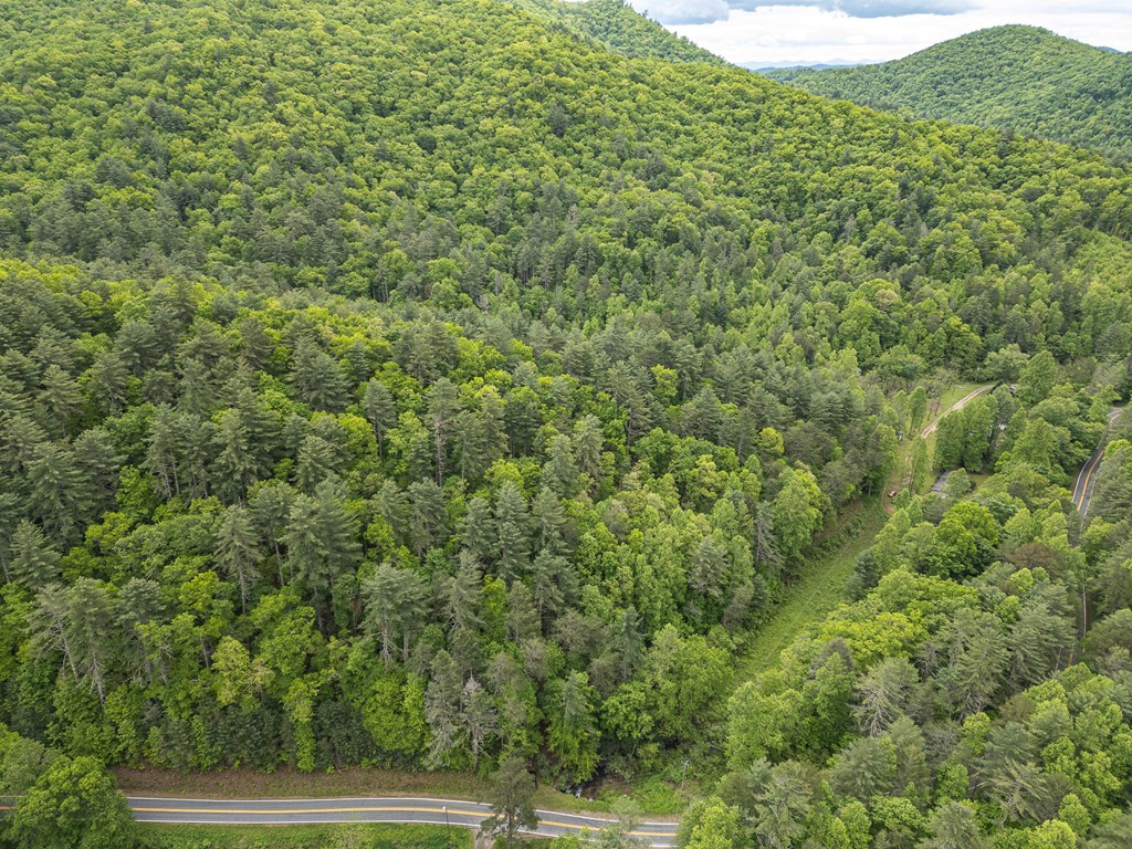 20561 Joe Brown Hwy Property Photo 10