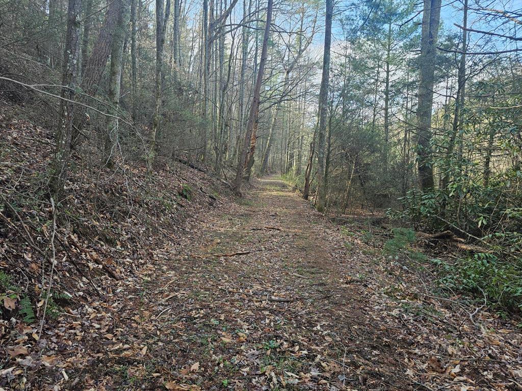 20561 Joe Brown Hwy Property Photo 29