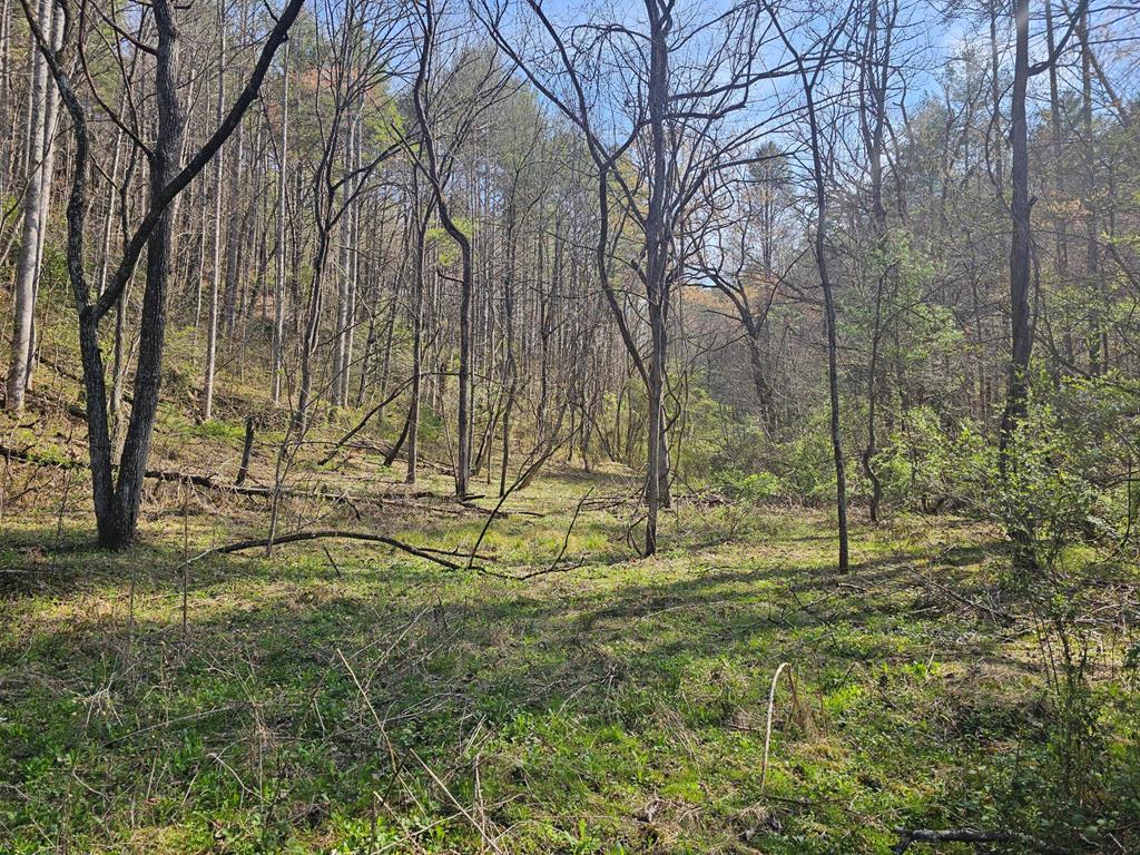 20561 Joe Brown Hwy Property Photo 36