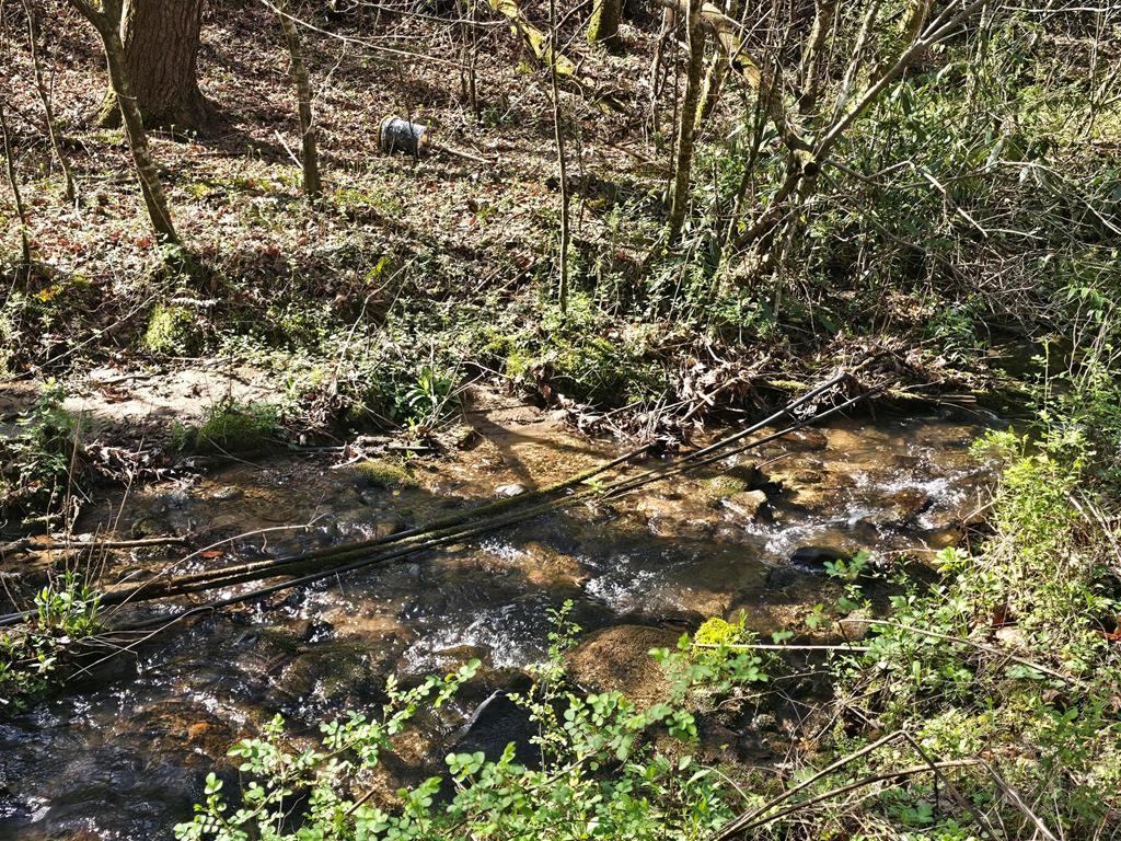 20561 Joe Brown Hwy Property Photo 38