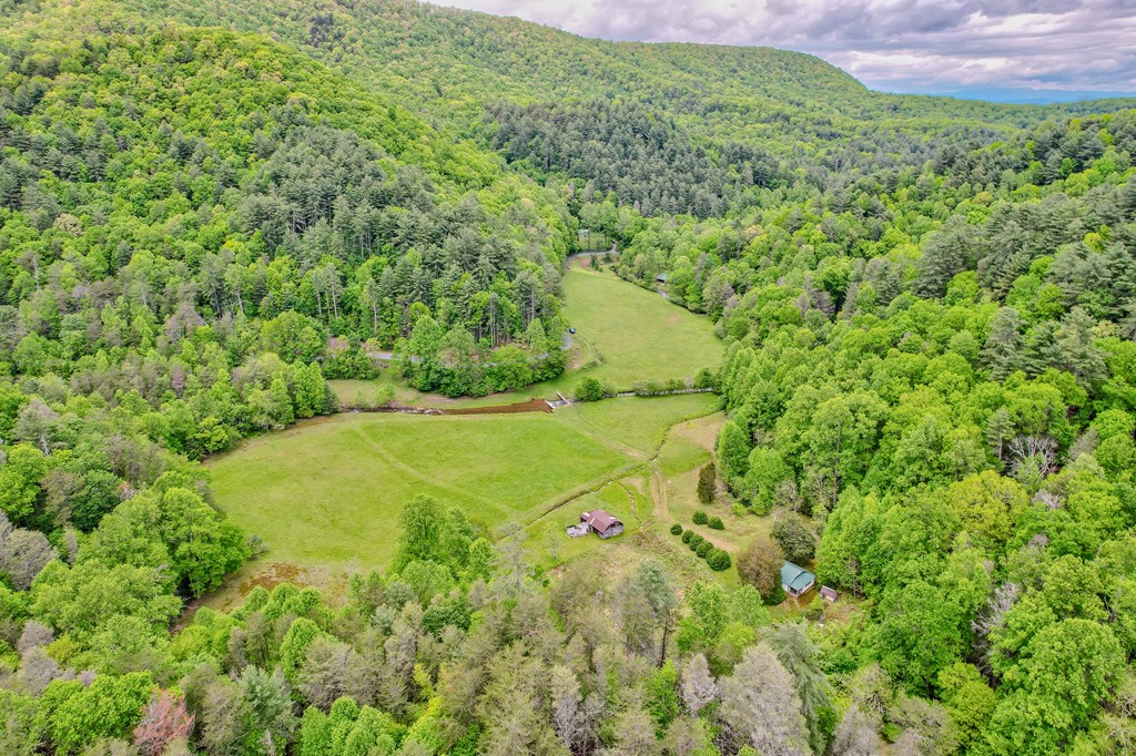 16400 Big Creek Road Property Photo 3