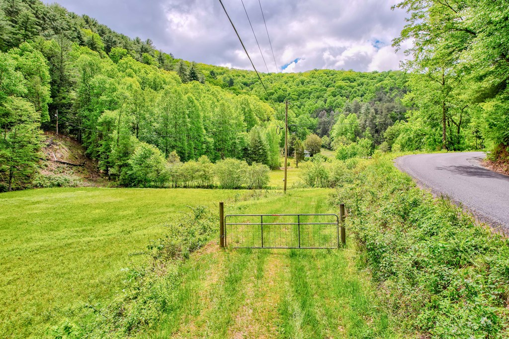 16400 Big Creek Road Property Photo 7