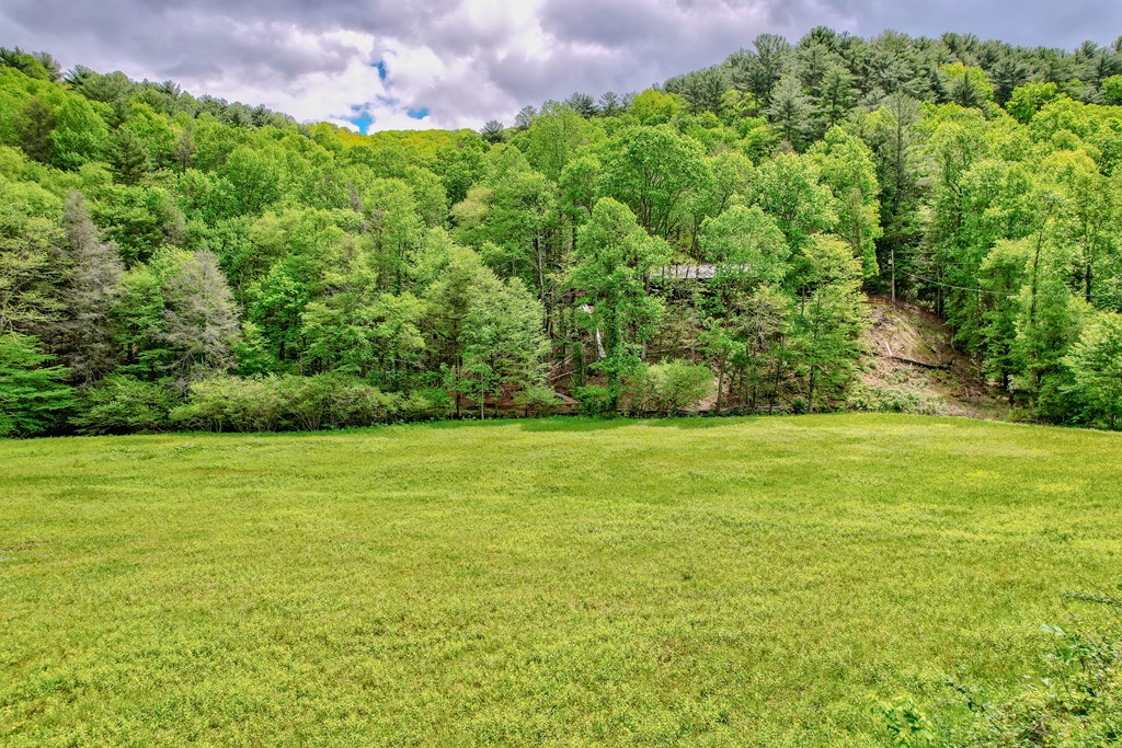 16400 Big Creek Road Property Photo 8