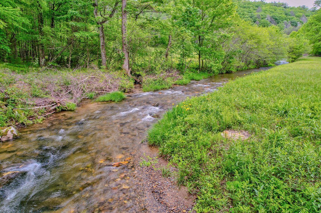 16400 Big Creek Road Property Photo 14