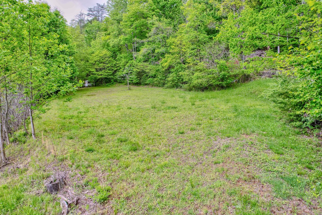 16400 Big Creek Road Property Photo 20