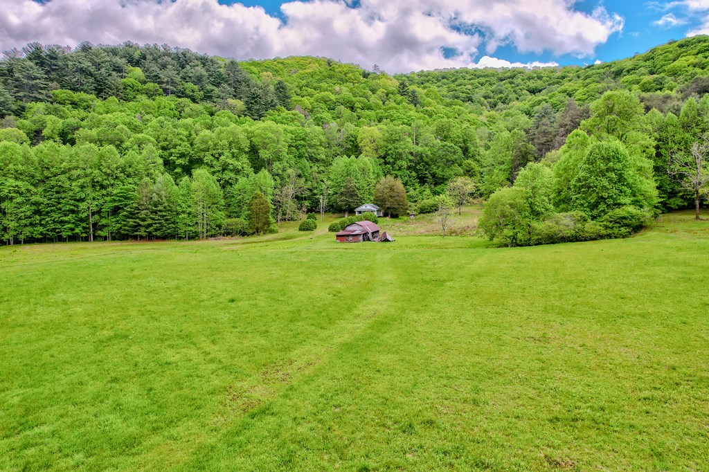 16400 Big Creek Road Property Photo 22
