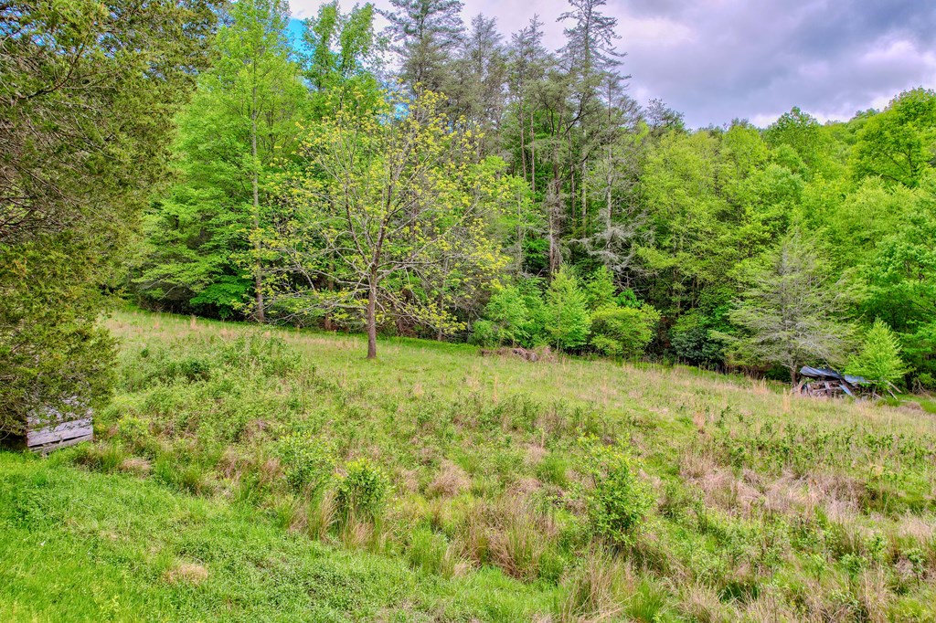 16400 Big Creek Road Property Photo 24