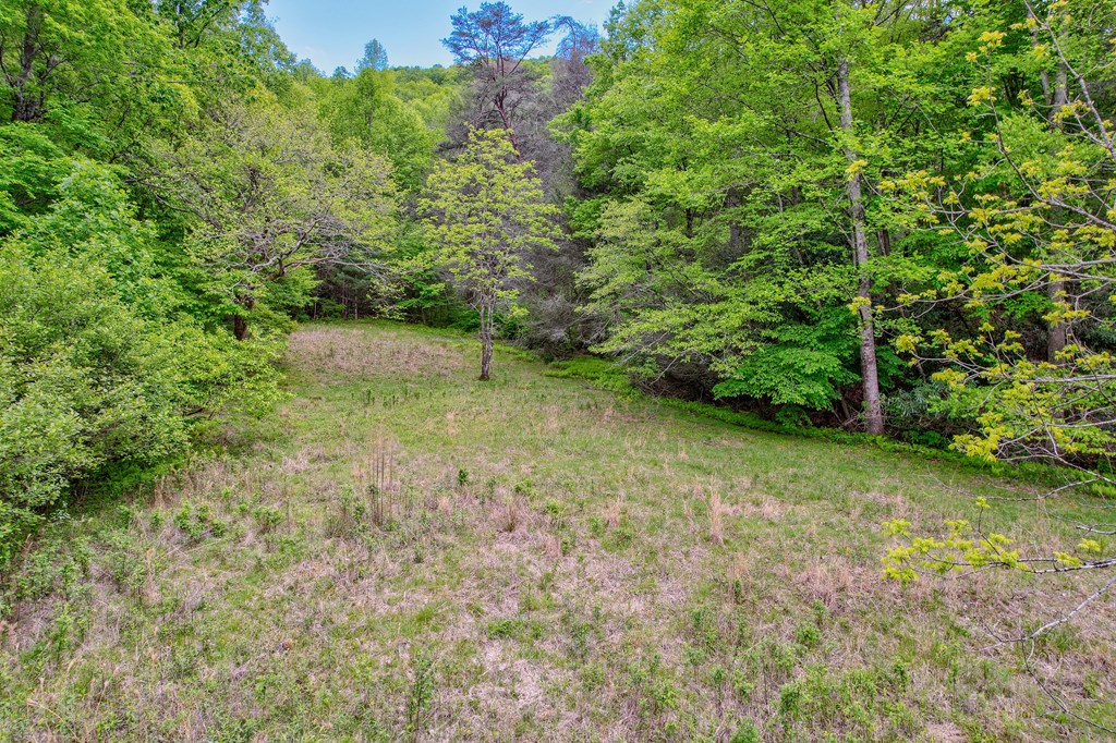 16400 Big Creek Road Property Photo 25