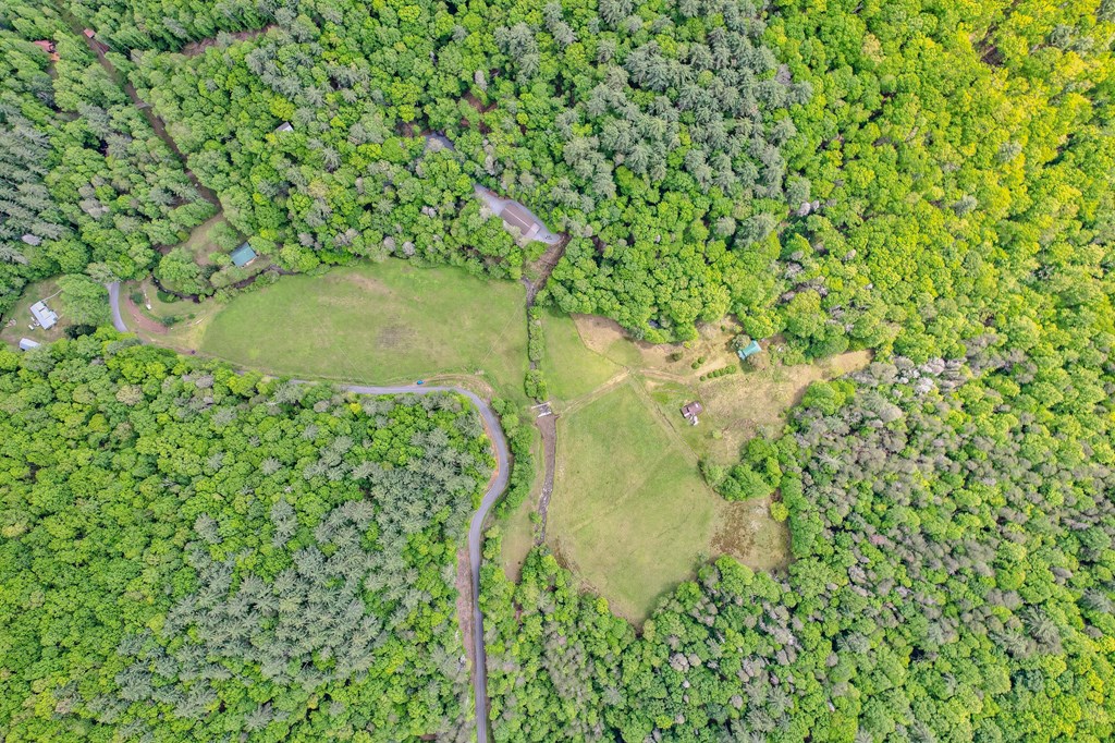 16400 Big Creek Road Property Photo 34