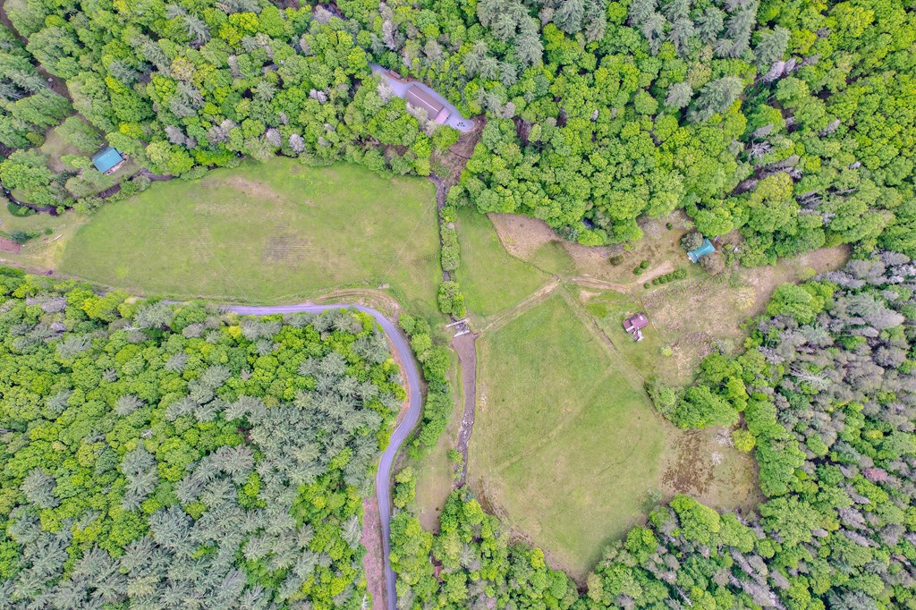 16400 Big Creek Road Property Photo 35