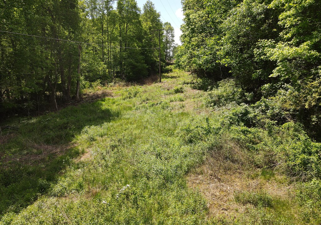 78 Reed White Drive Property Photo 51