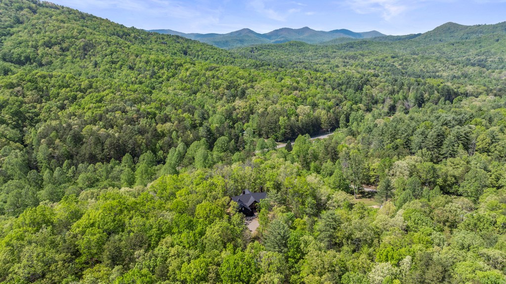 595 Arp Road Property Photo 45