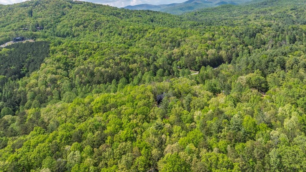 595 Arp Road Property Photo 46