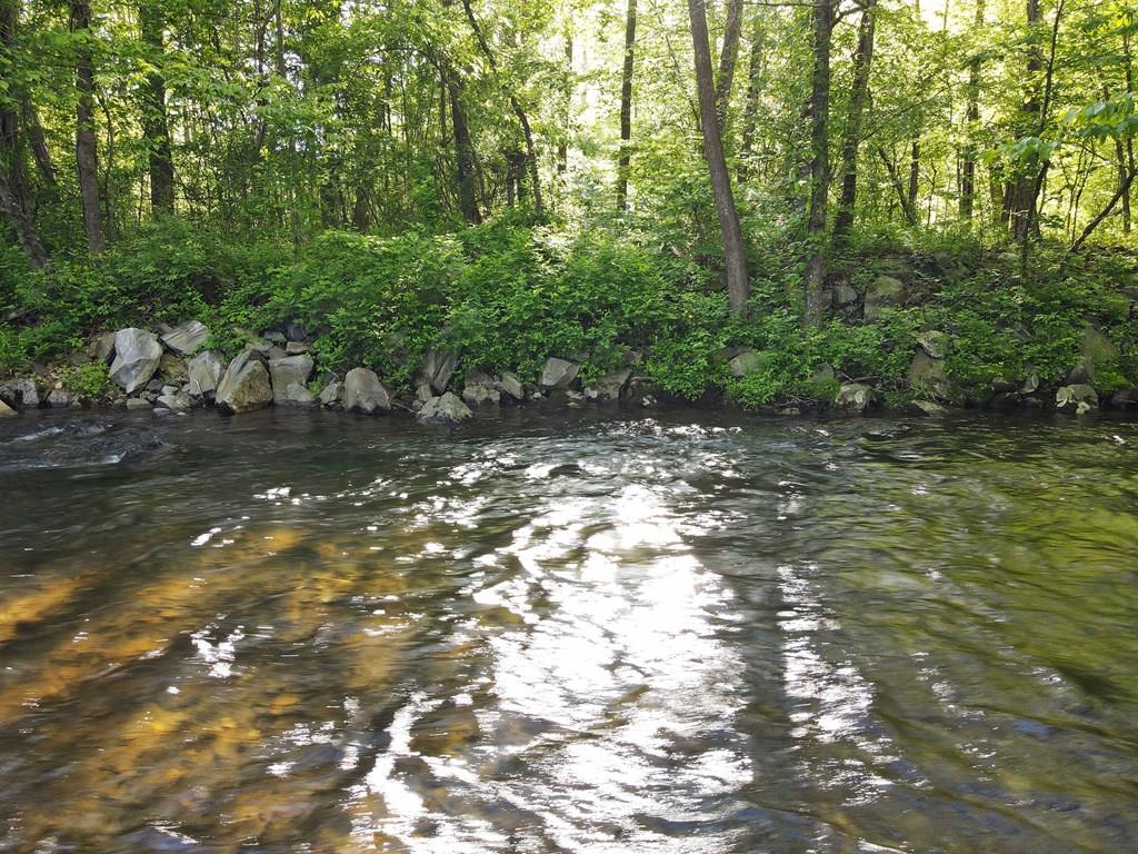 Lot 7 Souther Farm Drive Property Photo 1
