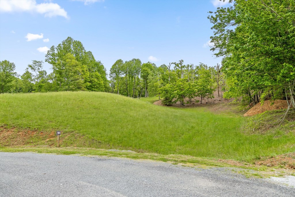 Lot 39 Big Valley Overlook Property Photo 2