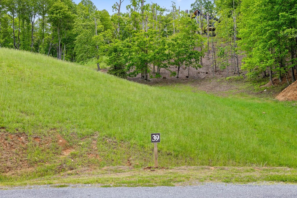 Lot 39 Big Valley Overlook Property Photo 3