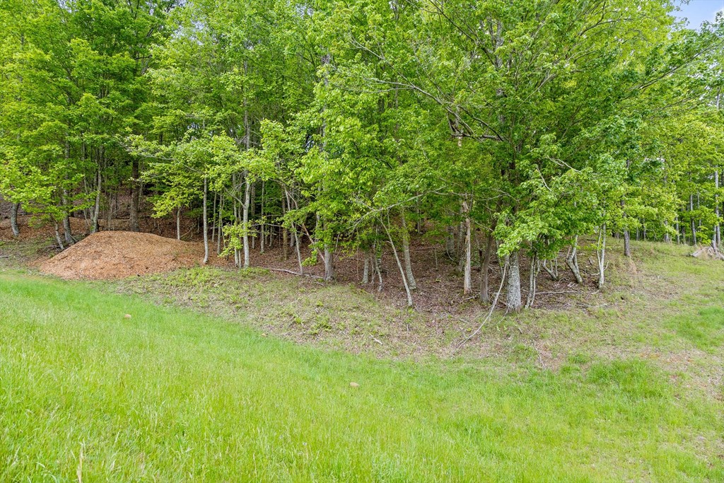 Lot 39 Big Valley Overlook Property Photo 4