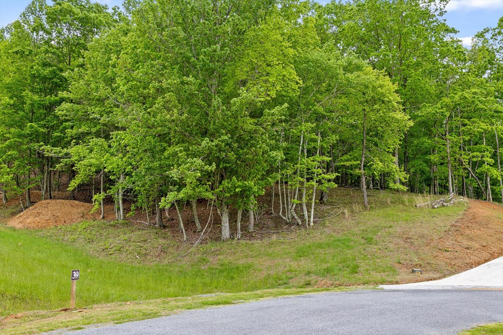 Lot 39 Big Valley Overlook Property Photo 5