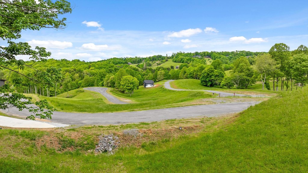 Lot 39 Big Valley Overlook Property Photo 6
