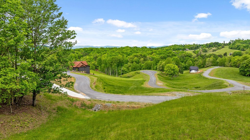 Lot 39 Big Valley Overlook Property Photo 8