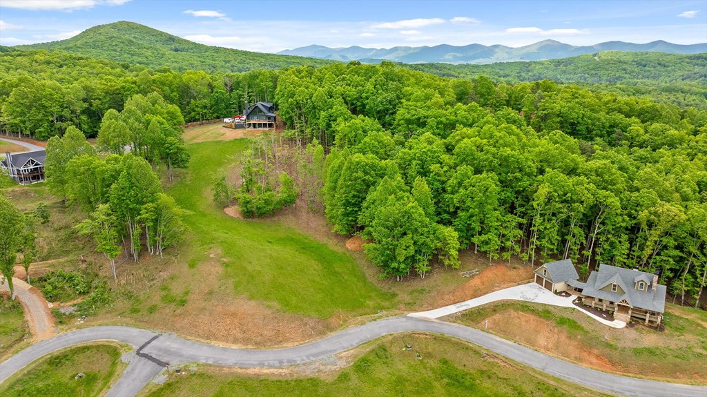 Lot 39 Big Valley Overlook Property Photo 9